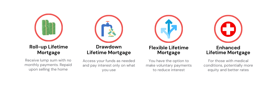 Infographic detailing the four main types of lifetime mortgages: Roll-up, Drawdown, Flexible, and Enhanced, with descriptions of each.