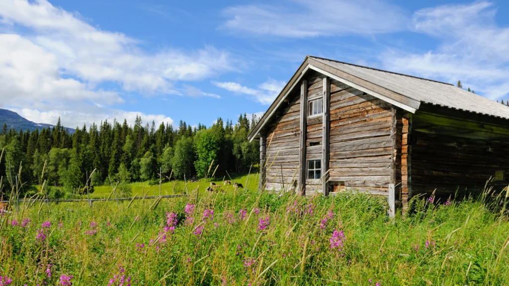 How to Get Barn Conversion Mortgages Step-by-Step Guide